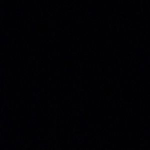 Meet your Posher, Bree